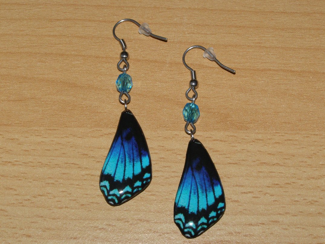 NÁUŠNICE - MOTÝLÍ KŘÍDLA