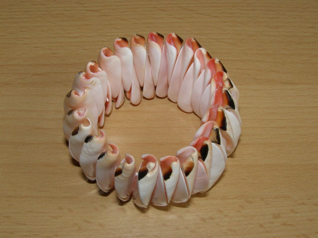 Mušle - Náramek skládaný - knm11