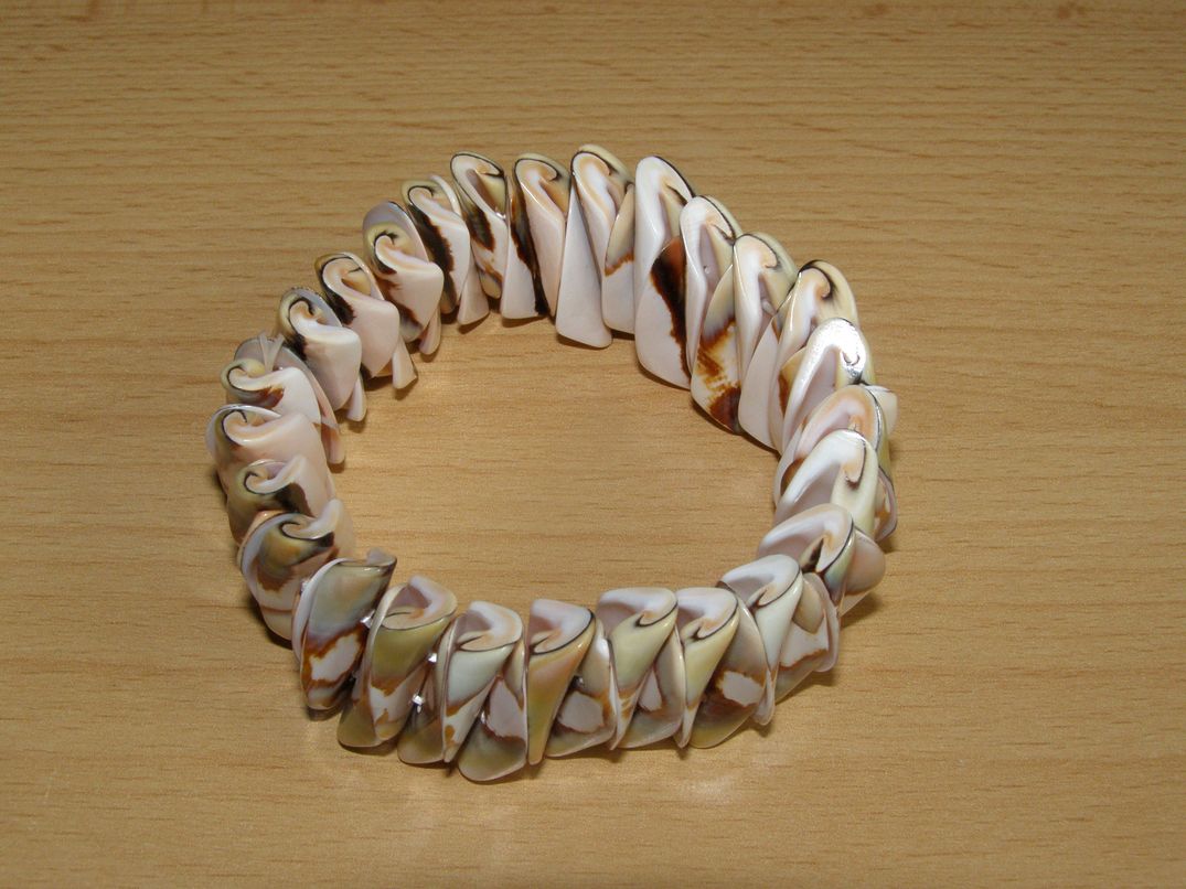 Mušle - Náramek skládaný - knm13