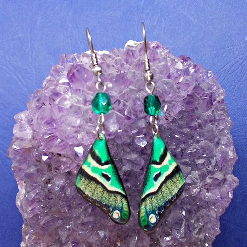 Náušnice - Motýlí křídla lmk5