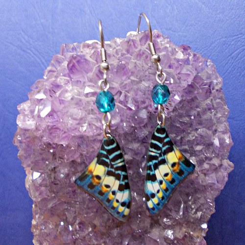 Náušnice - Motýlí křídla lmk19