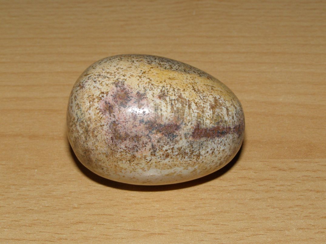 Jaspis obrázkový - Vajíčko - kv20