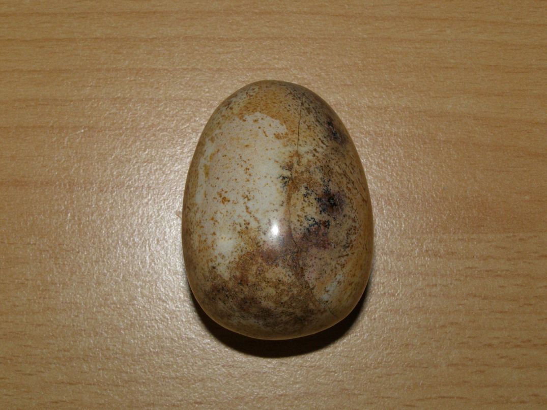 Jaspis obrázkový - Vajíčko - kv20