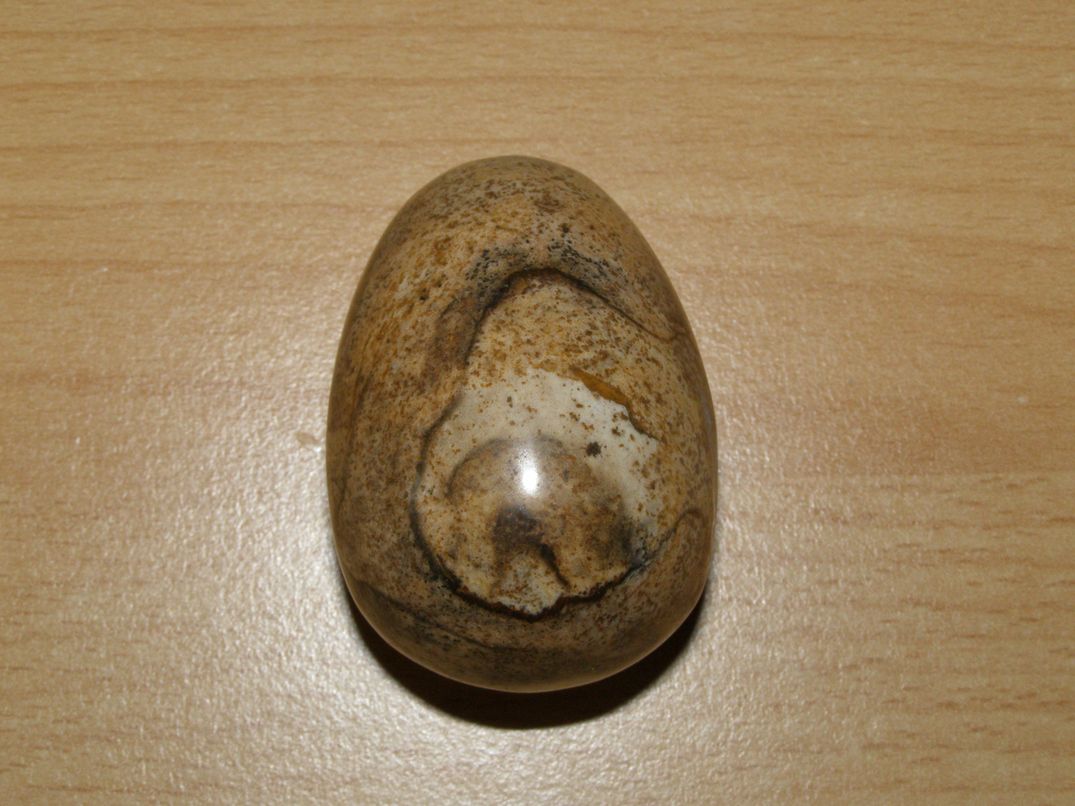 Jaspis obrázkový - Vajíčko - kv31