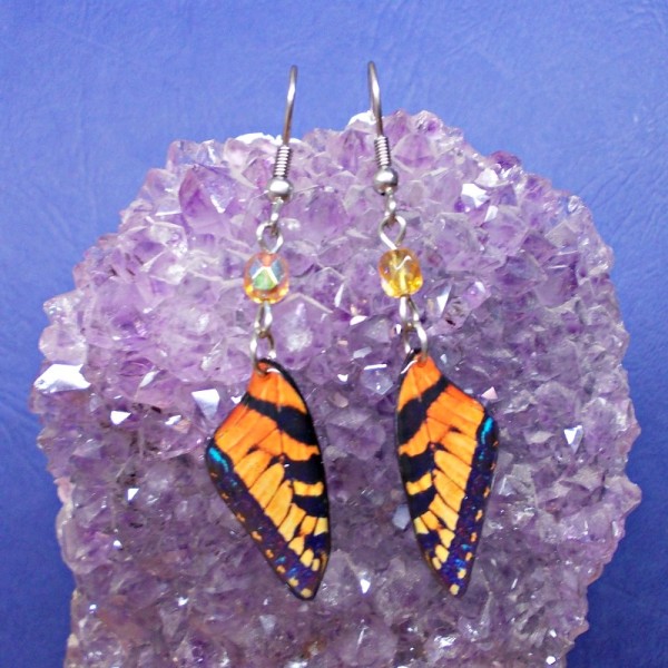 Náušnice - Motýlí křídla lmk24