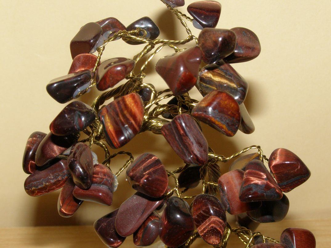 Býčí oko - Stromeček štěstí střední - kss32