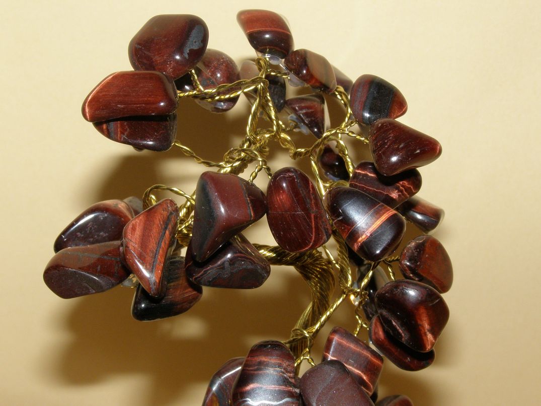 Býčí oko - Stromeček štěstí střední - kss39