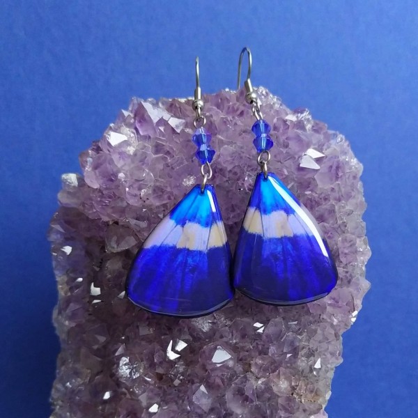 Náušnice - Motýlí křídla lmk35