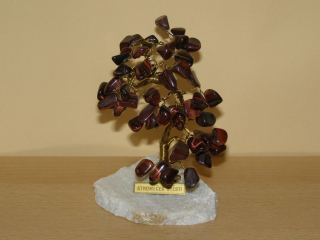 Býčí oko - Stromeček štěstí střední - kss32