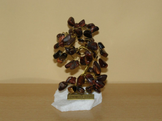 Býčí oko - Stromeček štěstí střední - kss34