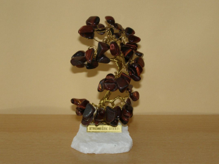 Býčí oko - Stromeček štěstí střední - kss39